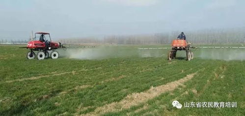 郯城縣春季農業(yè)科技服務創(chuàng)新轉型使大招