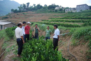 云南省農業(yè)廳 云南農業(yè)信息網