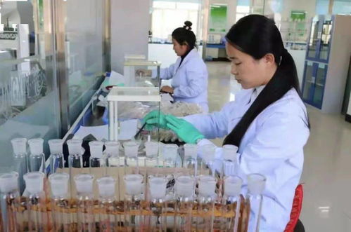 七星農業(yè)技術推廣中心入選全國星級基層農技推廣機構