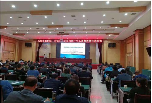 大悟縣農業(yè)技術推廣中心聯(lián)合武漢市農科院開展科技服務活動