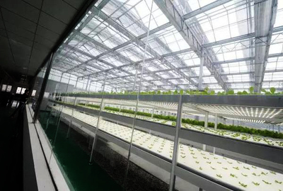 絕了!原來這就是未來顛覆農業的六大高科技