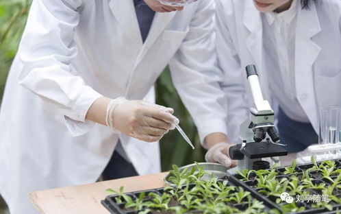 劉亭 對(duì)腦力勞動(dòng)者的分配怎么把握 共同富裕 線上交流1實(shí)錄 下