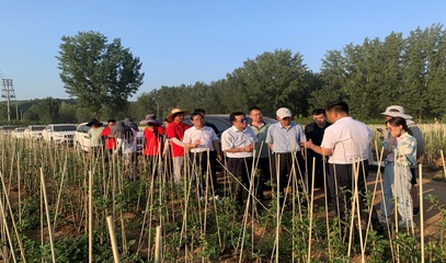 河南省果蔬產業科技特派員服務團(睢縣)調研洛寧蘋果產業并開展科技服務