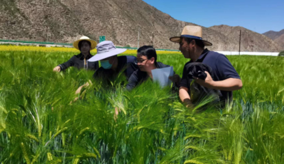 提升創新能力 推動成果轉化--州農技站2022年度&ldquo;三區&rdquo;科技服務工作紀實