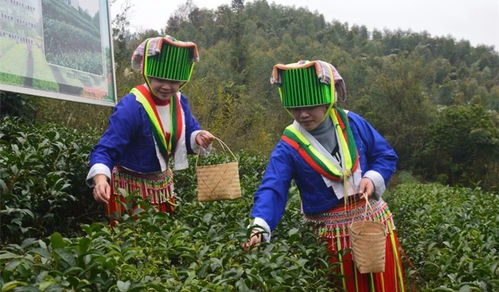 如今的賀州鄉村,已發生這么大變化,不信你來看看