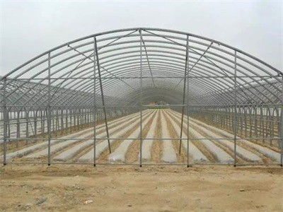 蒙城縣壽光溫室大棚造價低速度快還是選順合