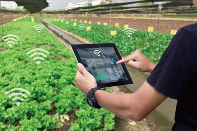 麥麥科技獲數(shù)千萬元天使輪融資 發(fā)展ToB端智慧農(nóng)業(yè)科技服務(wù)平臺