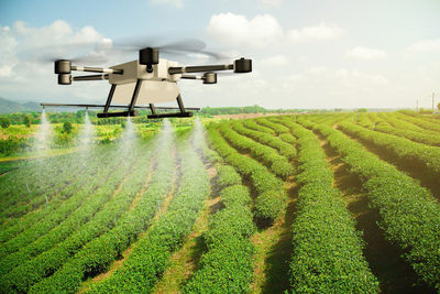 2022農(nóng)險圖繪|多地制定&ldquo;作戰(zhàn)圖&rdquo;備戰(zhàn)春耕,科技賦能瞄準(zhǔn)數(shù)據(jù)痛點(diǎn)