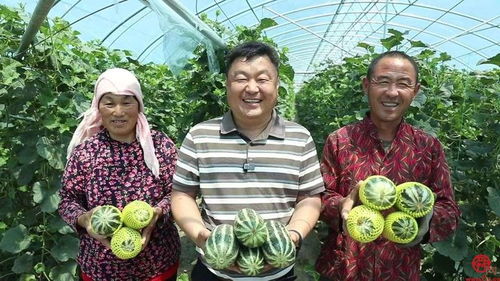 高官寨街道名優(yōu)特農(nóng)產(chǎn)品亮相2024章丘區(qū)特色產(chǎn)品展銷推介會(huì)