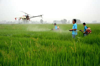 大觀區(qū):科技賦能 夯實糧食安全
