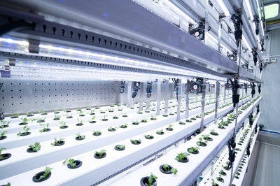 拼多多發布Q3財報,全面加速高質量發展,繼續加碼農研科技