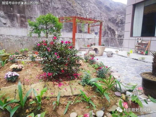 鄉土氣息與現代科技共融 美麗鄉村建設下的美麗庭院與農業科技服務