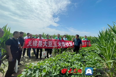 無棣縣科技特派員送“技”到田間，助力農業(yè)科技服務升級
