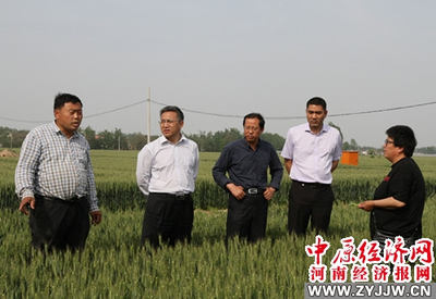 河南農業(yè)大學 科技套餐送達田間地頭，精準服務助推鄉(xiāng)村振興