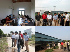 我院科研處與上海市農業(yè)科技服務中心開展黨建雙結對活動，共促農業(yè)科技服務發(fā)展